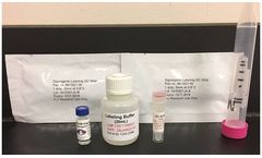 ANP NIDS - Biotinylation and Digoxigenin Labeling Kits