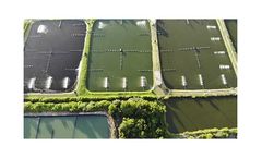 S2N - Smart Water Monitoring for Aquaculture