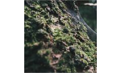 Enoveo - Polluted Sites Bioremediation and Management Services