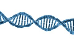 Enoveo - Environmental Forensics Services