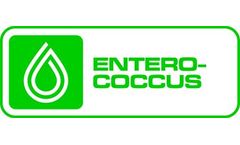 ColiMinder - Model Enterococci (GLU) - Beta-D-Glucosidase Activity Assay Kit