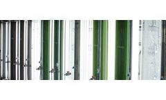 Photobioreactors