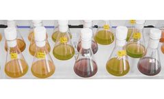 Strains and Starter Cultures