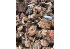 50ton Shredded motor scrap