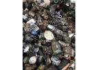 MIXED ELECTRIC MOTOR SCRAP