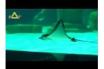 Aquarium Filtration Systems for Perfect Water Quality & Clarity Video
