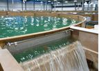 Pranger - Recirculating Aquaculture Systems (RAS)
