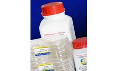 CHROMagar - Model 1-MMX-096 - Powders