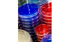 Dalynn - Model PA20 - Plated Media