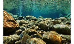 Sustainable microbial products for pond & lake