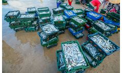Sustainable microbial products for aquaculture