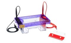 multiSUB - Model Midi - Horizontal Electrophoresis System