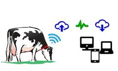 HerdInsights Software
