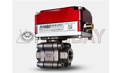 Hanbay - Model MDM-000XX-3-H35F-SS-IP-S-12 - Turn Actuators