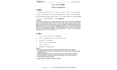 Vertical Fire Pump - Brochure