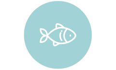 Dissolved air flotation systems solutions for fish / crustacean processing industry