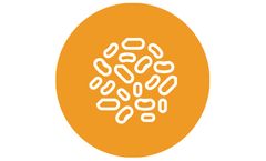 Dissolved air flotation systems solutions for tar sand / oil sand industry