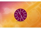 Bio-Rad - Model SARS-CoV-2 - Droplet Digital PCR (ddPCR) Kit