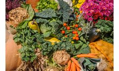 Advanced FT-NIR Analysis for Food Industry