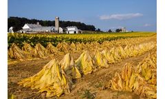 Advanced FT-NIR Solutions for Tobacco Processors and Manufacturers Sector