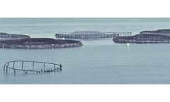 Proventus - Balancing Inoculants