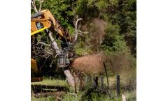 AR Equipment - Excavator Forestry Mulcher