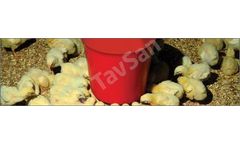 Tavsan - Manuel Feeder