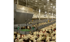 Tavsan - Chain Feeding System