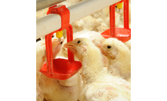 Tavsan - Plastic Nipple Drinker