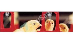 Tavsan - Poultry Nipple Drinker