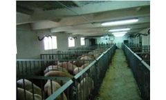 AgriGate - Swine Farm