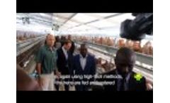 Lr Group - Visit Of The President Joseph Kabila Kabange At The Nouveau Daipn Farm Video