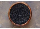OxPure - Model 1250C-AW/75 - Activated Carbon for Pharmaceuticals