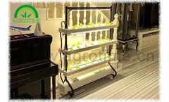 Home Hydroponic System with Light