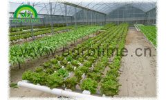Model NFT - Hydroponic System