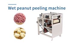 Taizy - Model TZ - Wet Peanut Skin Peeling Machine | Almond Peeler Machine