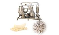 taizy - banana chips frying machine |vacuum fryer