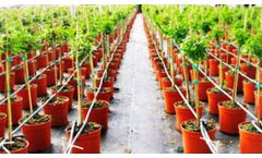 Condepols - Weeds, Soil Cover Protection Net