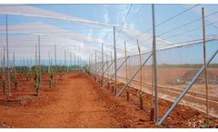 Condepols - Insects Protection Net