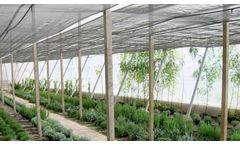 Condepols - Sun Damage Protection Shading Net