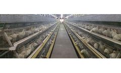 Hebei - Broiler Cage