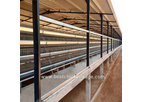 Vanke - 10000 to 50000 Layers a House Layer Battery Cage