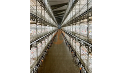 Vanke - Model A - 50000 to 100000 House Broiler Battery Cage