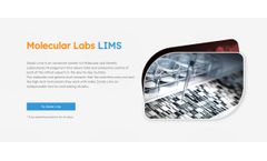 Zendo Lims - Genetics and Molecular Biology