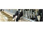 GreyFLEX Flexible Manger - Front Flexible Free Stall