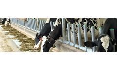 GreyFLEX Flexible Manger - Front Flexible Free Stall