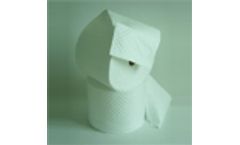 Spill Absorbent