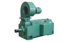 Model Z4 Series - Medium DC Electric Motor
