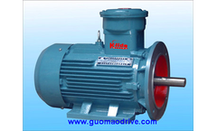 NER - Explosion-Proof Electromotor