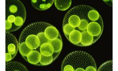 Hydro Industries - Microbial Development Services